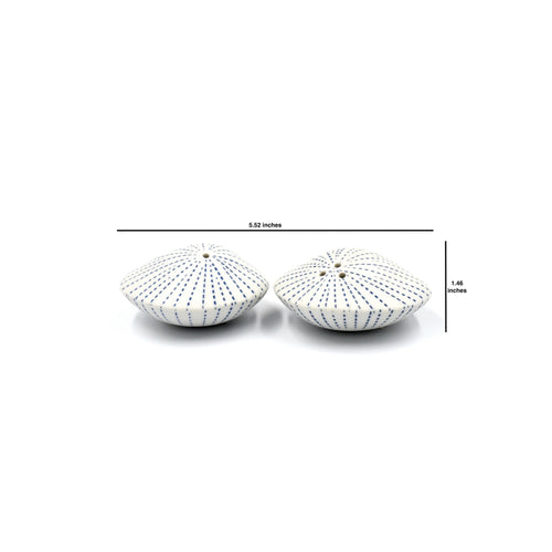 Salt & Pepper Shaker Seashell