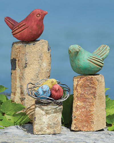 Bird on Stone