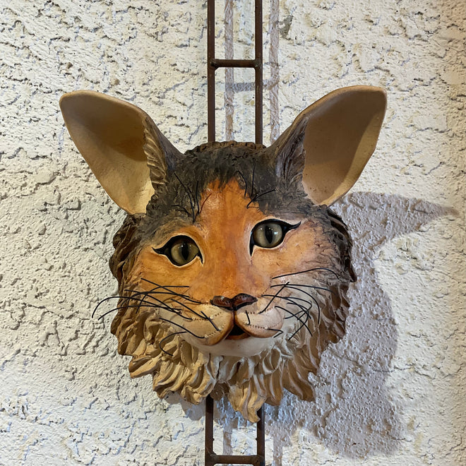 Calico Cat Head