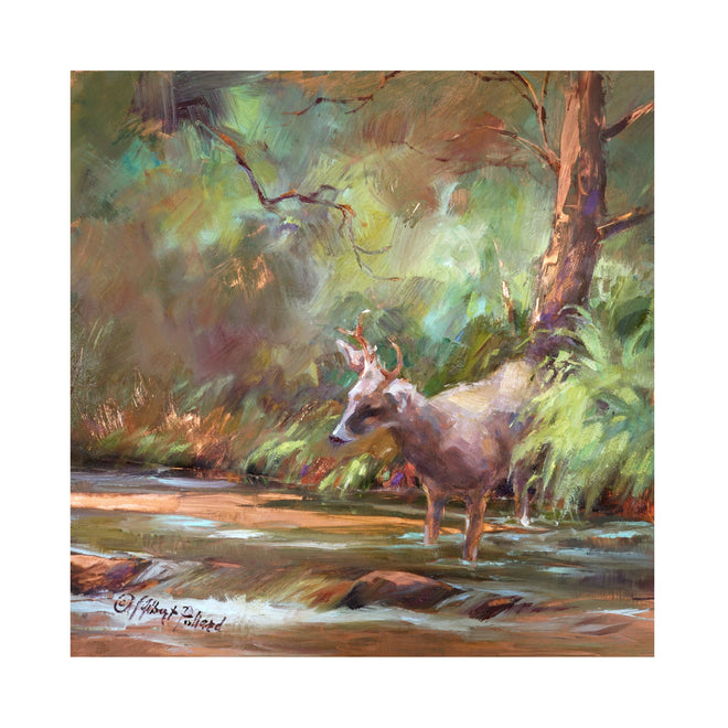 Emergence - AKA Oak Creek at Briar Patch XXXII (a deer standing in Oak Creek)