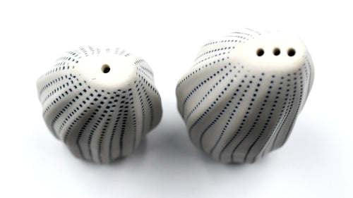 Salt & Pepper Shaker Seda