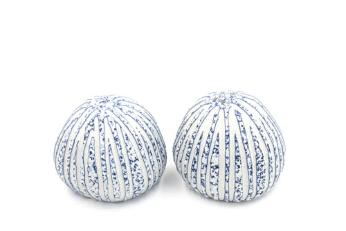 Salt & Pepper Shaker Porcelain Ceramic Pebble