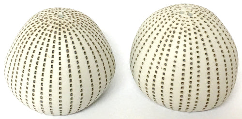 Salt & Pepper Shaker Porcelain Ceramic Pebble