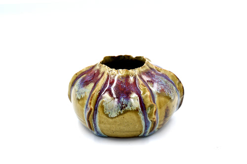 Rose Apple Porcelain Ceramic Pot