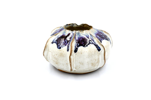 Rose Apple Porcelain Ceramic Pot