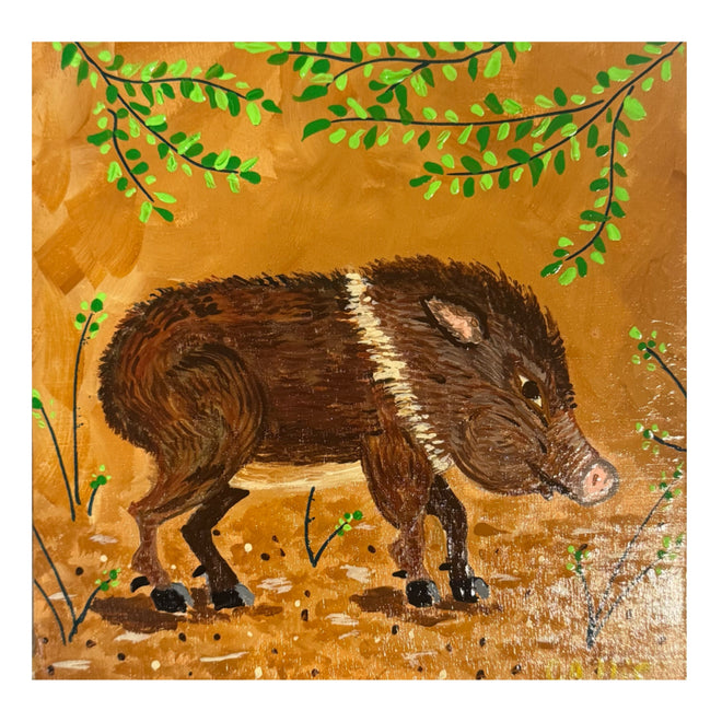 Folk Art Javelina 6x6