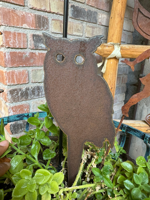 Owl Stakle
