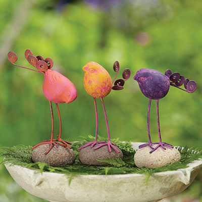 Bird on River Stone