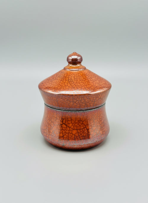 Raku Ferric Vase with lid