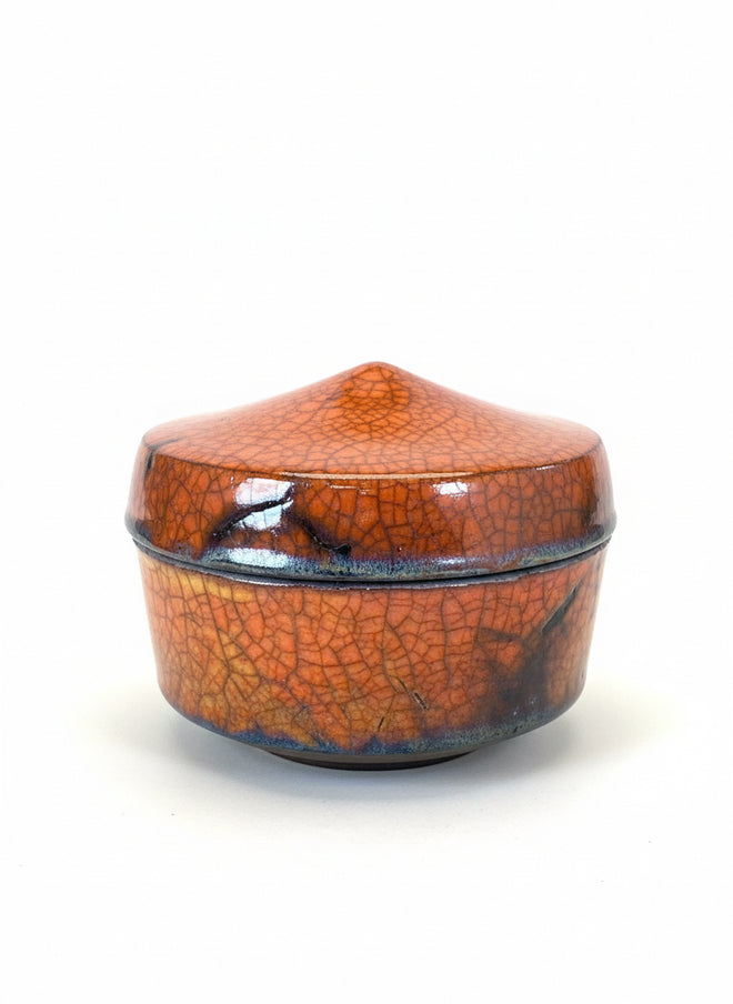 Raku Ferric Vase with lid