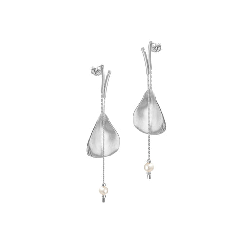 Silver Oyster Shell with Freshwater Pearl Earrings