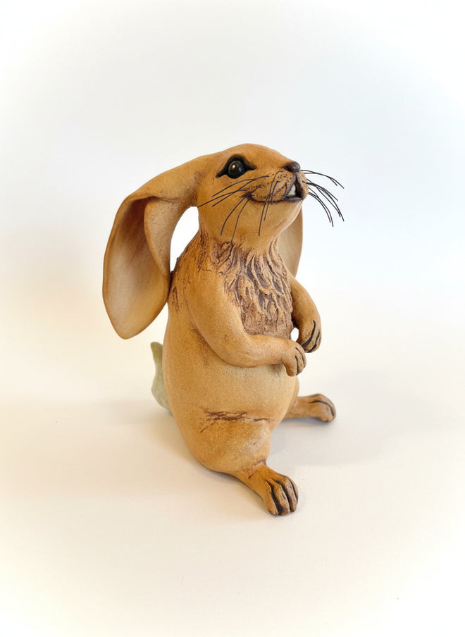 Handmade Lop-Eared Rabbit Sculpture by Sumati Colpitts