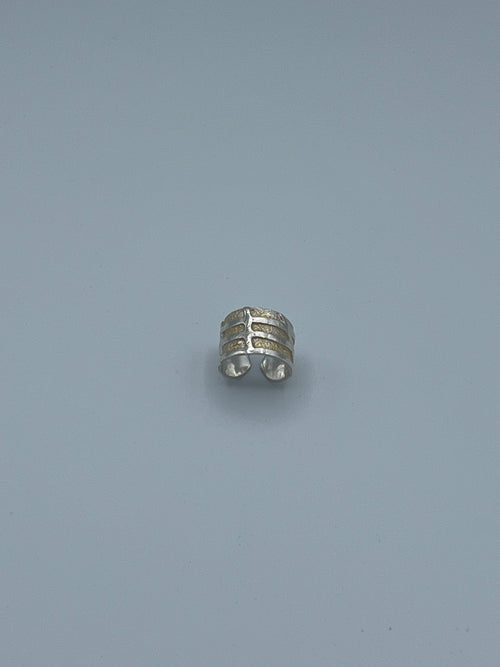 RG SS GP BEND