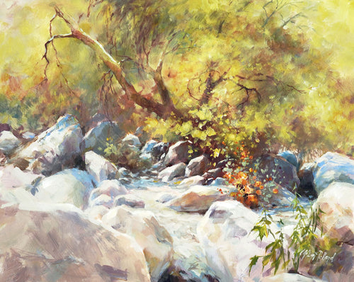 Sonoran Gold 16"x20" by Julie Gilbert Pollard