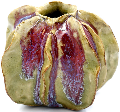 Luffa Small