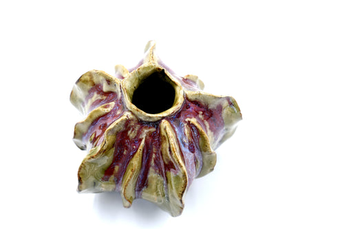 Luffa Small
