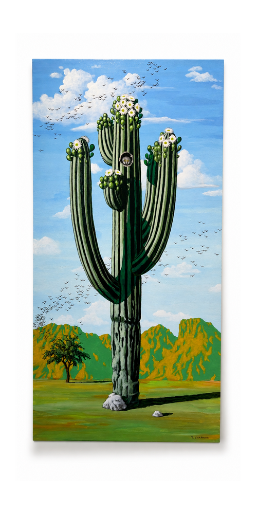 Original acrylic painting of a blooming saguaro cactus by Timothy Chapman featuring an owl in the Sonoran Desert.